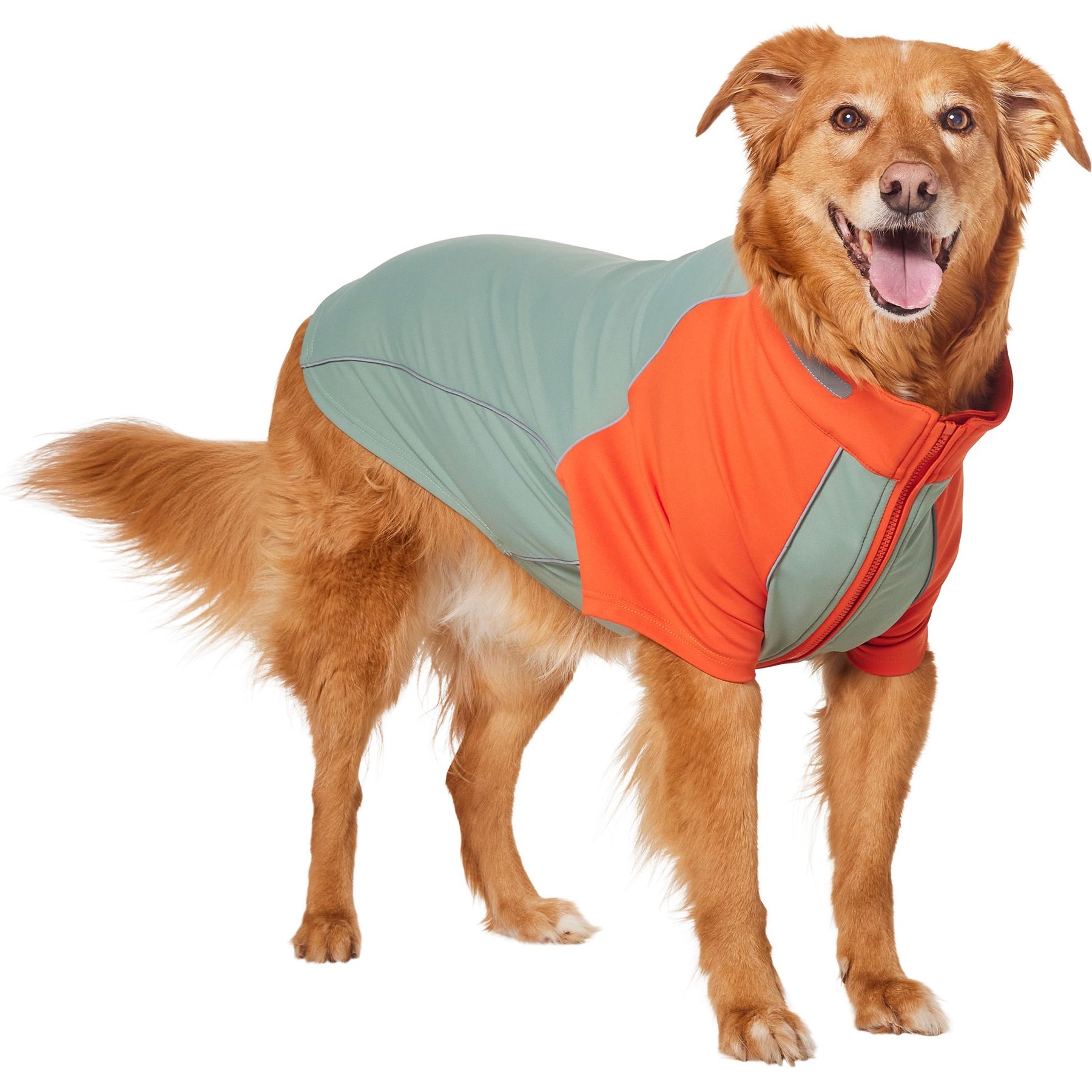 Frisco UPF 50+ Dog Scuba Shirt, Orange, XX-Large