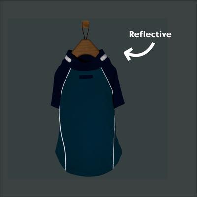 Show full view: Frisco UPF 50+ Dog Scuba Shirt, Teal, Large slide 7 of 11