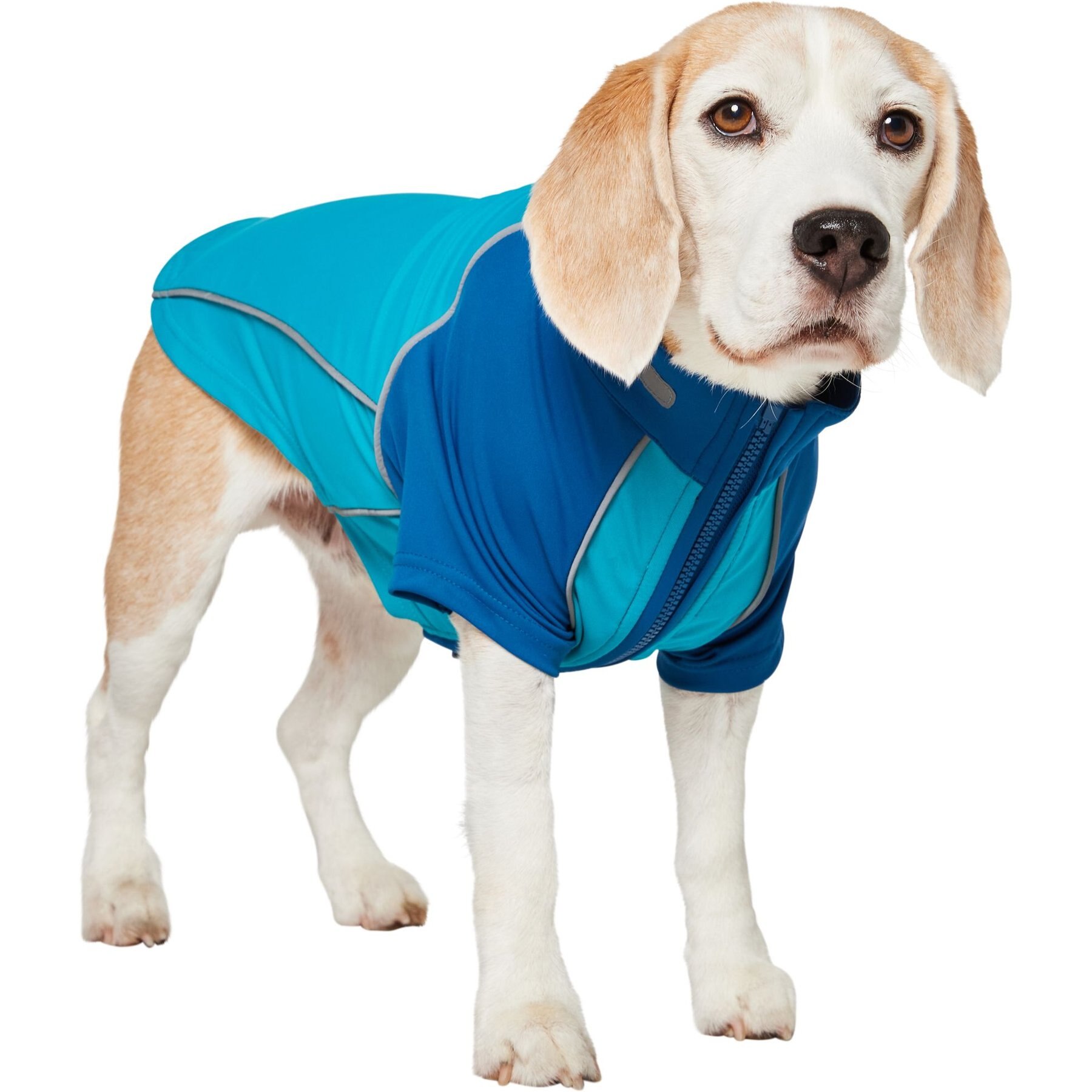 Frisco UPF 50+ Dog Scuba Shirt, Teal, Medium