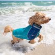 Show in main carousel: Frisco UPF 50+ Dog Scuba Shirt, Teal, Small slide 8 of 11
