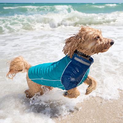 Show full view: Frisco UPF 50+ Dog Scuba Shirt, Teal, Small slide 9 of 12