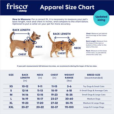 Show full view: Frisco UPF 50+ Ruffle Dog & Cat Scuba Dress, Medium slide 3 of 12