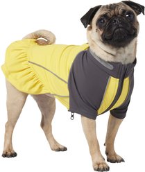 Frisco UPF 50+ Ruffle Dog & Cat Scuba Dress, Small