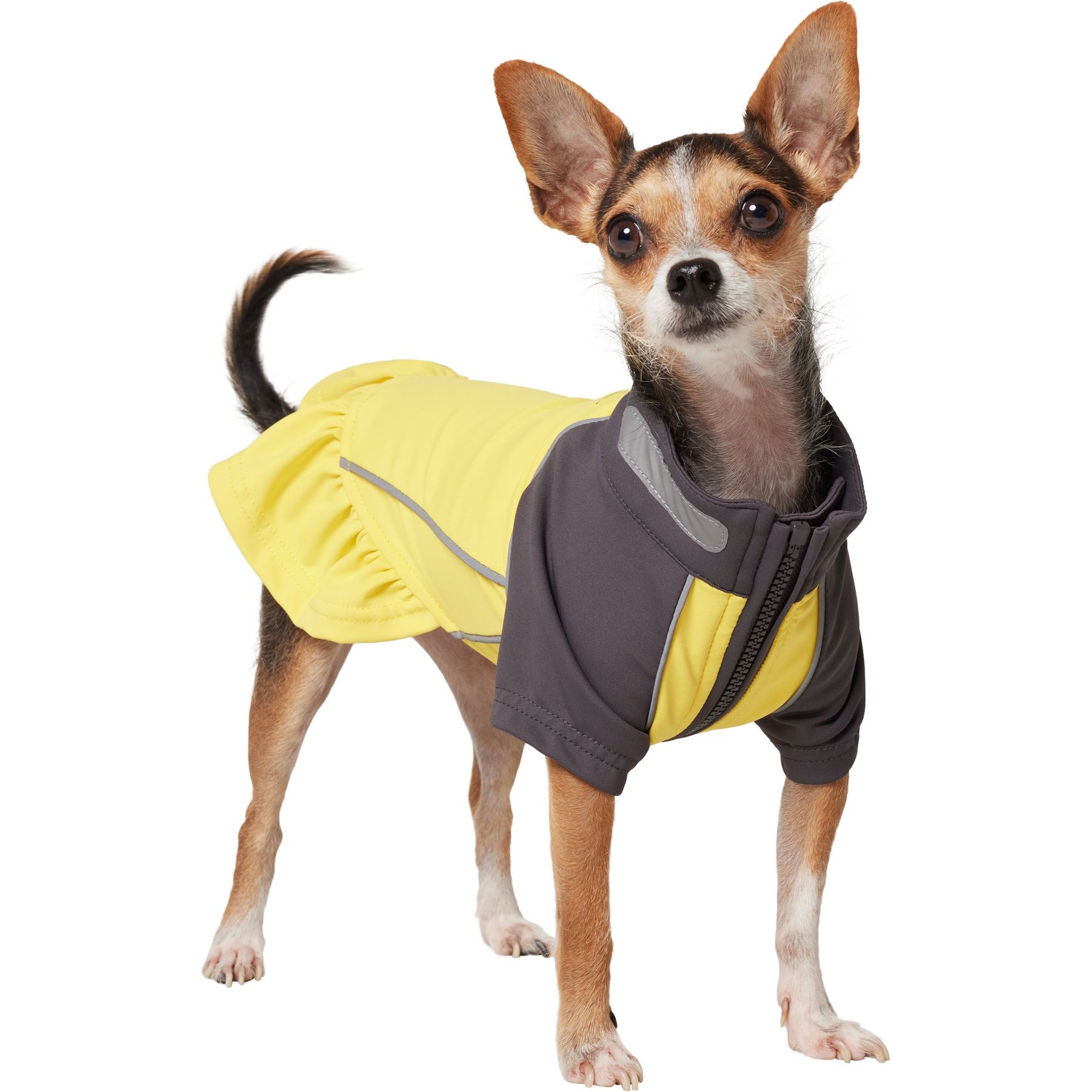 Frisco UPF 50+ Ruffle Dog & Cat Scuba Dress, X-Small