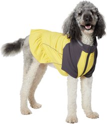 Frisco UPF 50+ Ruffle Dog & Cat Scuba Dress, XX-Large