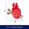Show in main carousel: Frisco Valentine Anatomical Heart Plush Squeaky Dog Toy, Medium slide 2 of 6