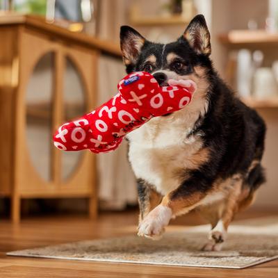 Show full view: Frisco Valentine Bone Reversible Plush Squeaky Dog Toy, Hugs & Kisses, Medium/Large slide 4 of 7