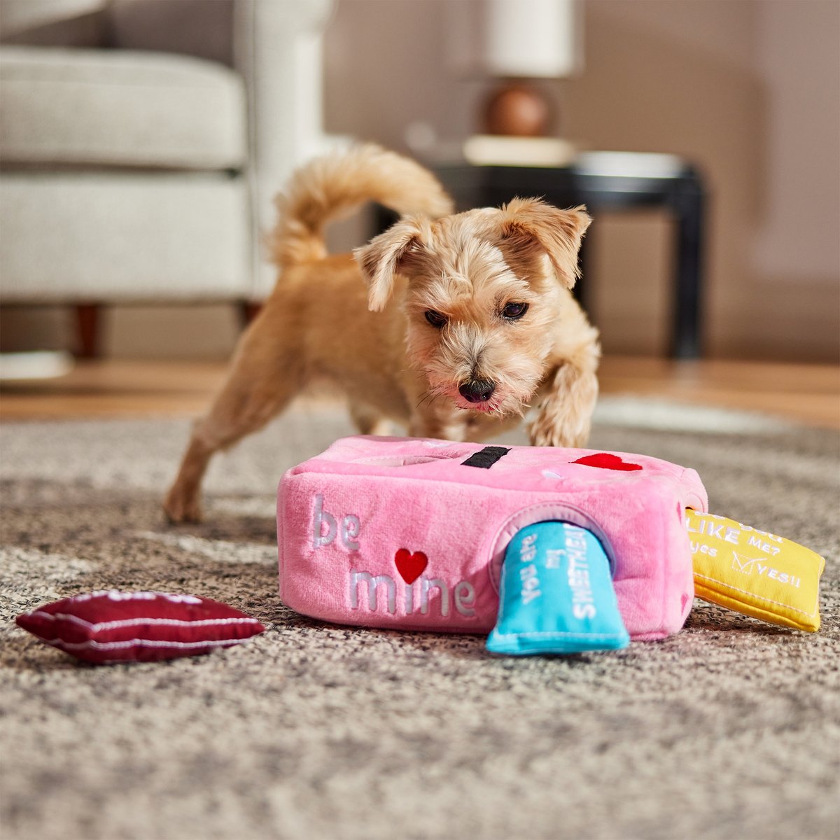 Frisco Valentine Box of Cards Hide & Seek Puzzle Plush Squeaky Dog Toy