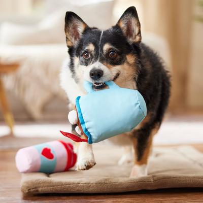 Show full view: Frisco Valentine Coffee for Two Ballistic Nylon Plush Squeaky Dog Toy, Medium, 2 count slide 4 of 7