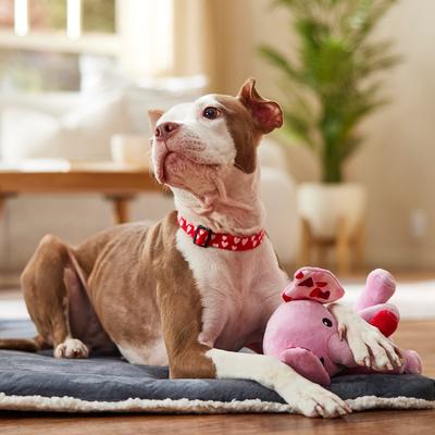 Show full view: Frisco Valentine Elephant Plush Squeaky Dog Toy, Medium slide 5 of 7