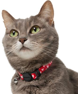 Show full view: Frisco Valentine's Heart Printed Cat Collar, 8 to 12-in neck, 3/8-in wide slide 5 of 10