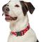 Show in main carousel: Frisco Valentine's Heart Printed Dog Collar, Large/X-Large slide 4 of 10