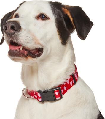 Show full view: Frisco Valentine's Heart Printed Dog Collar, Large/X-Large slide 4 of 10