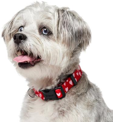 Show full view: Frisco Valentine's Heart Printed Dog Collar, Medium slide 3 of 9