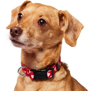 Frisco Valentine's Heart Printed Dog Collar, S: 10 to 14-in neck, 5/8-in wide
