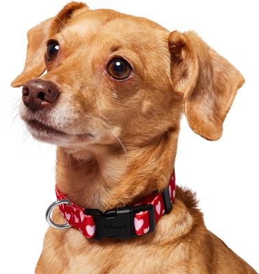 Show full view: Frisco Valentine's Heart Printed Dog Collar, Small slide 3 of 9