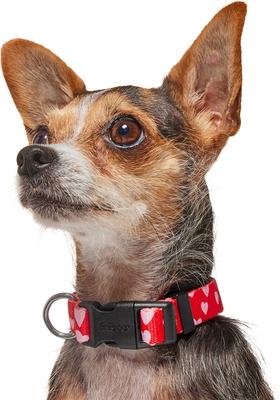 Show full view: Frisco Valentine's Heart Printed Dog Collar, X-Small slide 3 of 9