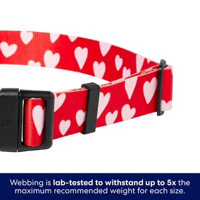 Show full view: Frisco Valentine's Heart Printed Dog Collar, XX-Large/XXX-Large slide 5 of 10