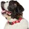 Show in main carousel: Frisco Valentine's Heart Printed Dog Collar, XX-Large/XXX-Large slide 4 of 10
