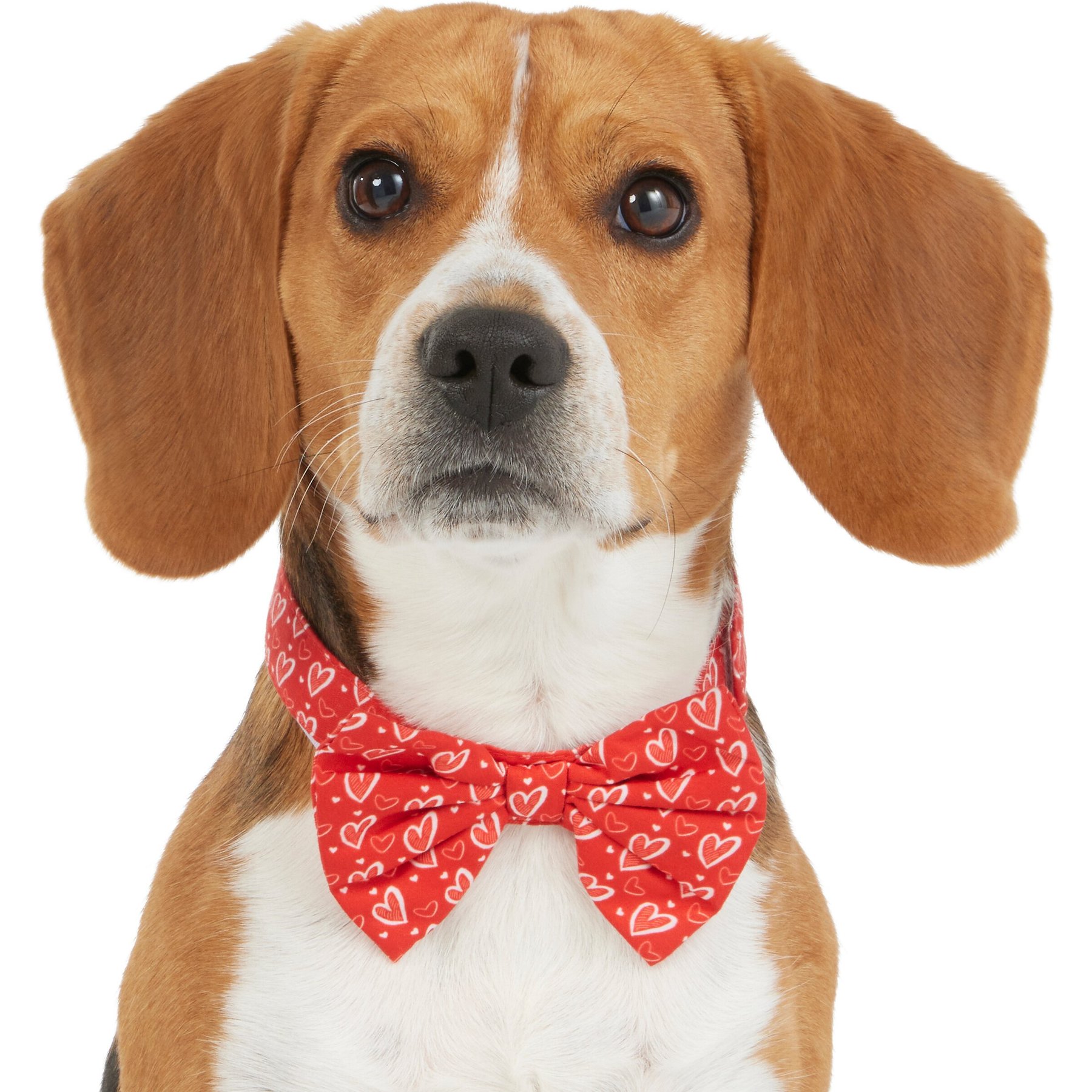 Frisco Valentine's Hearts Dog & Cat Bow Tie, Hearts, X-Small/Small