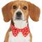 Show in main carousel: Frisco Valentine's Hearts Dog & Cat Bow Tie, Hearts, X-Small/Small slide 1 of 8