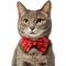 Show in main carousel: Frisco Valentine's Hearts Dog & Cat Bow Tie, Hearts, X-Small/Small slide 3 of 8