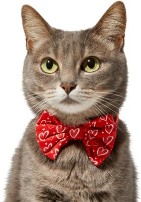 Show full view: Frisco Valentine's Hearts Dog & Cat Bow Tie, Hearts, X-Small/Small slide 3 of 8