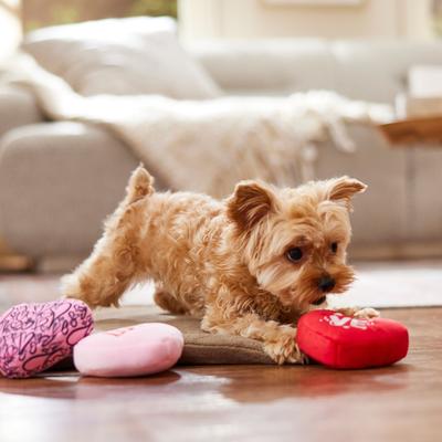 Show full view: Frisco Valentine Hearts Plush Squeaky Dog Toy, Small, 3 count slide 4 of 7