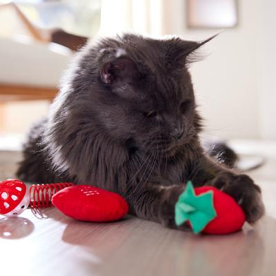 Show full view: Frisco Valentine Hot Pepper Plush, Spring & Ball Variety Pack Cat Toy with Catnip, 4 count slide 5 of 7