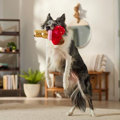 Show full view: Frisco Valentine Ice Cream Plush Squeaky Dog Toy, Medium/Large slide 5 of 8