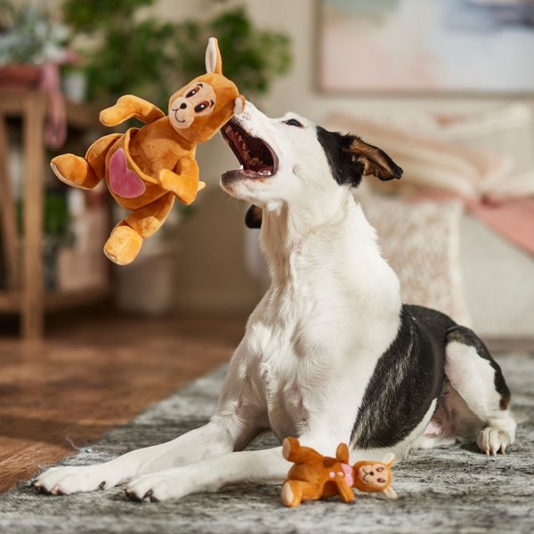 Frisco Fall Kangaroo & Joey Plush Squeaky Dog Toy, 2 count