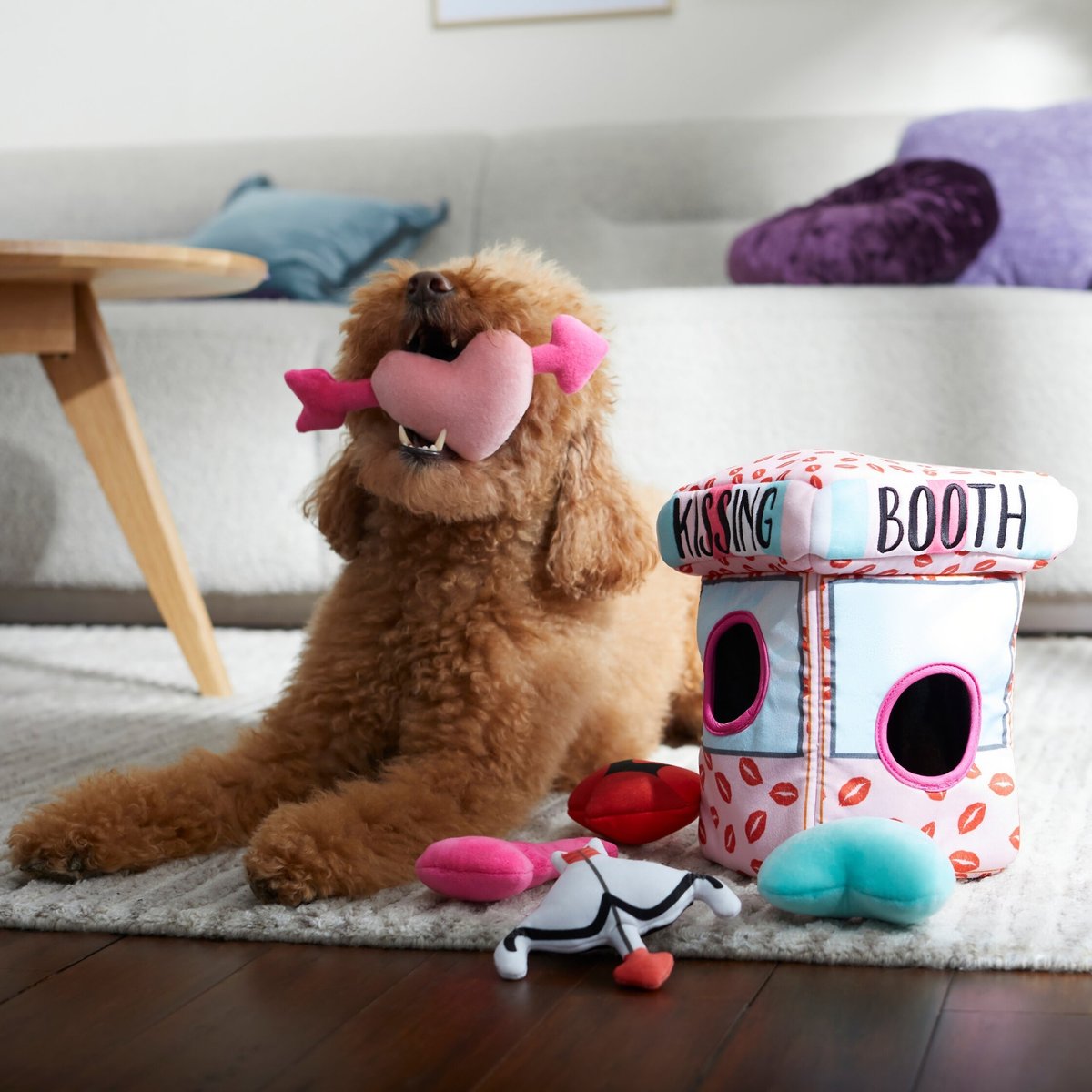 Frisco Valentine Kissing Booth Hide & Seek Puzzle Plush Squeaky Dog Toy