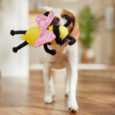 Show full view: Frisco Valentine Love Buzz Bee Plush Squeaky Dog Toy, Small/Medium slide 5 of 8