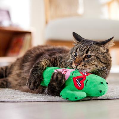 Show full view: Frisco Valentine Love Cactus Plush Kicker Cat Toy with Catnip slide 4 of 6
