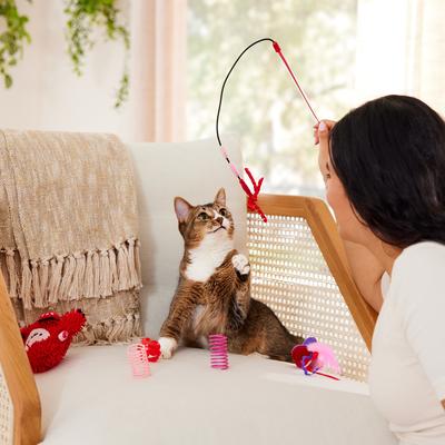 Show full view: Frisco Valentine Love Monster Plush, Teaser, Spring & Ball Variety Pack Cat Toy with Catnip, 6 count slide 4 of 6