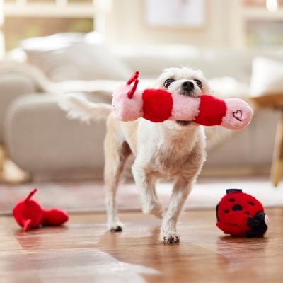 Show full view: Frisco Valentine Lovebugs Plush Squeaky Dog Toy, Small, 3 count slide 5 of 7