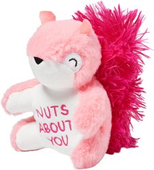 Frisco Valentine Squirrel Plush Squeaky Dog Toy, Small
