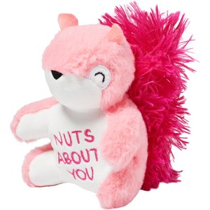 Frisco Valentine Squirrel Plush Squeaky Dog Toy, Small