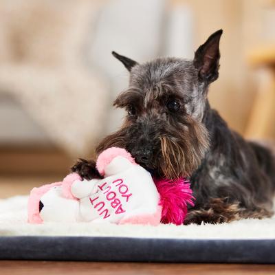 Show full view: Frisco Valentine Squirrel Plush Squeaky Dog Toy, Small slide 5 of 7