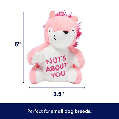 Show full view: Frisco Valentine Squirrel Plush Squeaky Dog Toy, Small slide 2 of 7