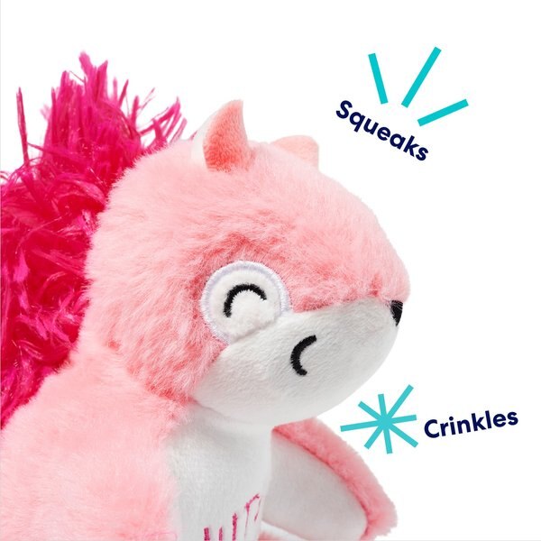 Frisco Valentine Squirrel Plush Squeaky Dog Toy