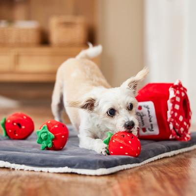 Show full view: Frisco Valentine Strawberry Jam Hide & Seek Puzzle Plush Squeaky Dog Toy, Small/Medium slide 6 of 8