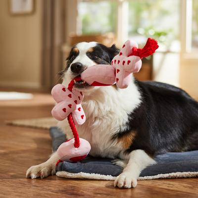 Show full view: Frisco Valentine XOXO Plush with Rope Squeaky Dog Toy, Large slide 4 of 6