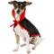 Show in main carousel: Frisco Vampire Cape Dog & Cat Costume, X-Small/Small slide 3 of 10