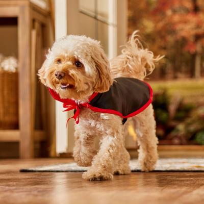 Show full view: Frisco Vampire Cape Dog & Cat Costume, X-Small/Small slide 6 of 10