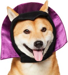 Frisco Vampire Dog & Cat Costume Accessory, Medium/Large