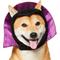 Show in main carousel: Frisco Vampire Dog & Cat Costume Accessory, Medium/Large slide 1 of 9