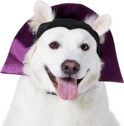 Frisco Vampire Dog & Cat Costume Accessory, X-Large/XX-Large
