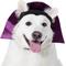Show in main carousel: Frisco Vampire Dog & Cat Costume Accessory, X-Large/XX-Large slide 1 of 9