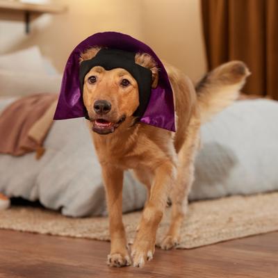 Show full view: Frisco Vampire Dog & Cat Costume Accessory, X-Large/XX-Large slide 6 of 9